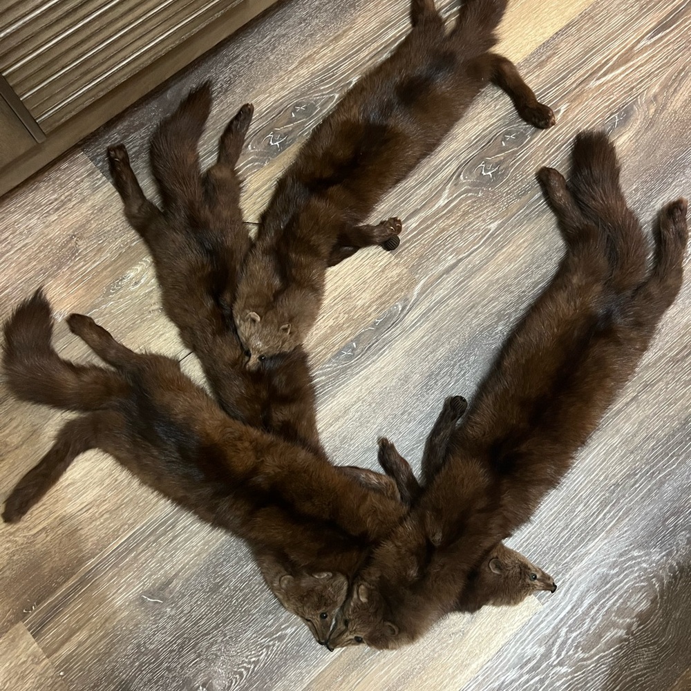 Vintage mink fur scarf